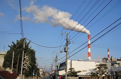 �����H��̉�